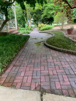 One real Bossed Up cleaned walkway project photo